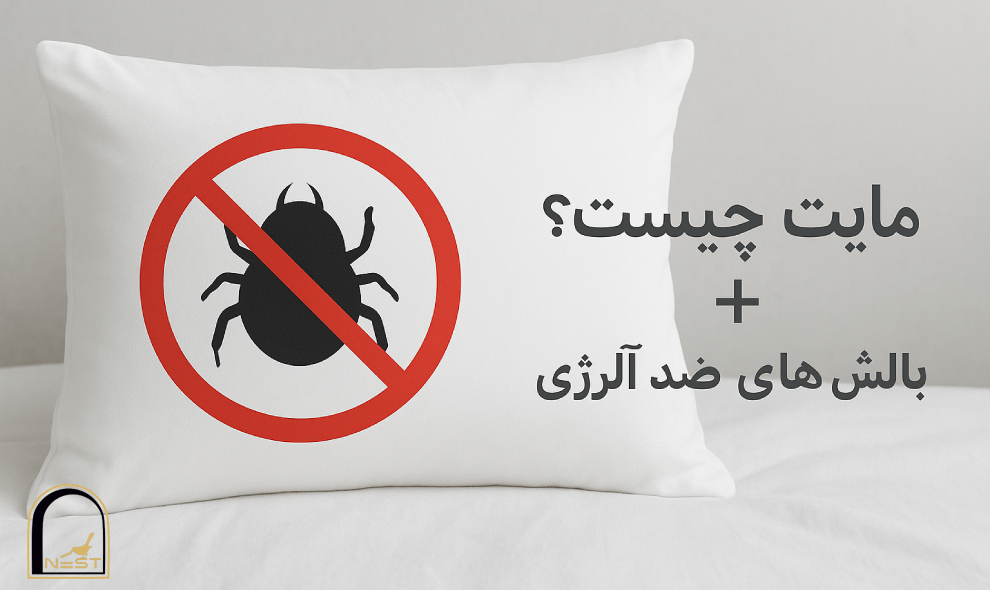 مایت