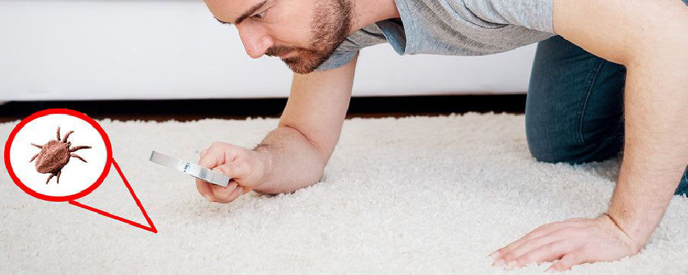 بهترین بالش ضد حساسیت