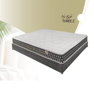 تشک مدل تری زد برند bern