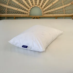 بالش مدل Ecolux Maya برند Othello