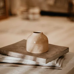 گلدان سرامیکی Eva سایز کوچک برند ecocotton