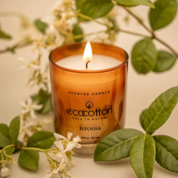 شمع معطر مدل Feronia برند ecocotton