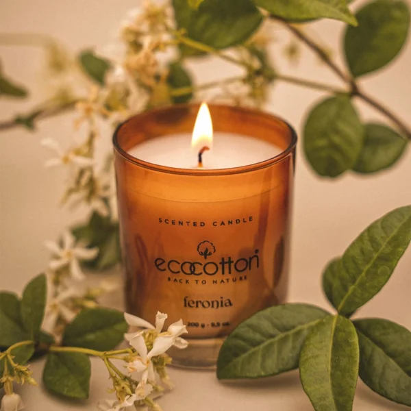 شمع معطر مدل Feronia برند ecocotton