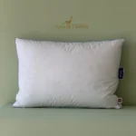 بالش کول دون مایا