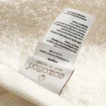 حوله استخری آلسا