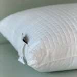 بالش برن آلمان